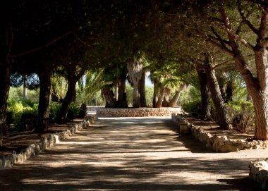 Kaktüs Bahçe Island Mayorka, Balear Adaları, İspanya sokakta.