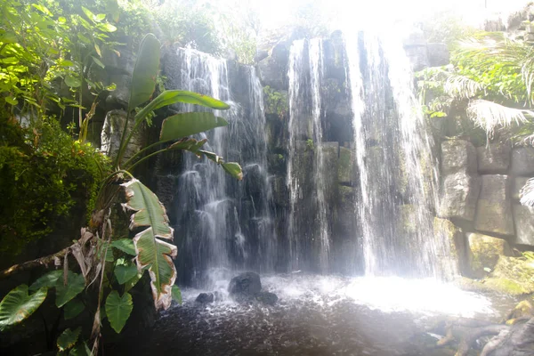 Hermosa cascada en el verde bosque tropical en la selva . — Foto de Stock