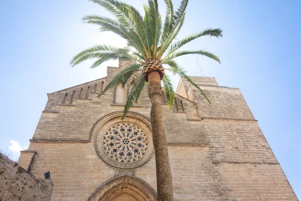 Altstadt, Kirche Sant Jaume auf Mallorca. alcudia, mallorca, balearen, spanien 28.06.2017. — Stockfoto