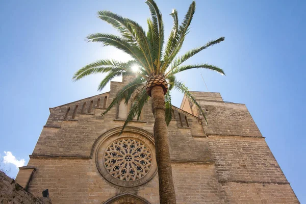 Old Town, Mayorka kilisede Sant Jaume. Alcudia, Mallorca, Balear Adası, İspanya 28.06.2017. — Stok fotoğraf