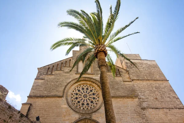 Staré město, kostel Sant Jaume v Mallorca. Alcudia, Mallorca, Baleárské island, Španělsko 28.06.2017. — Stock fotografie