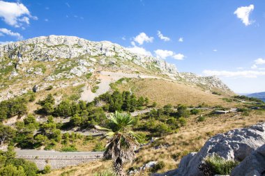 Cap de Formentor - Mayorka, İspanya'nın güzel Sahili - Avrupa yılan gibi dağ.
