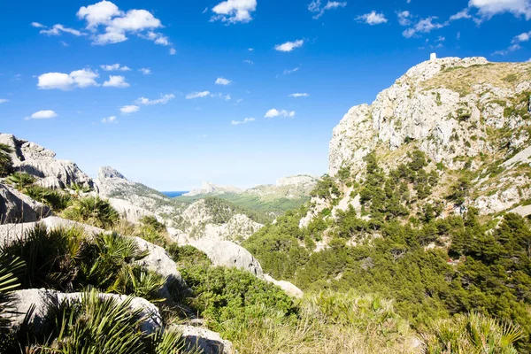 Cap de formentor - Mayorka, İspanya'nın güzel Sahili - Europe.
