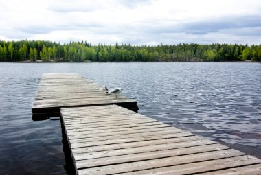Martılar güzel Gölü Milli Parkı Repovesi, Finlandiya, Güney Karelya ile ahşap iskele.