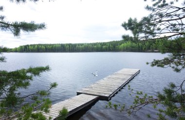 Ahşap iskele güzel Gölü Milli Parkı Repovesi, Finlandiya, Güney Karelya.