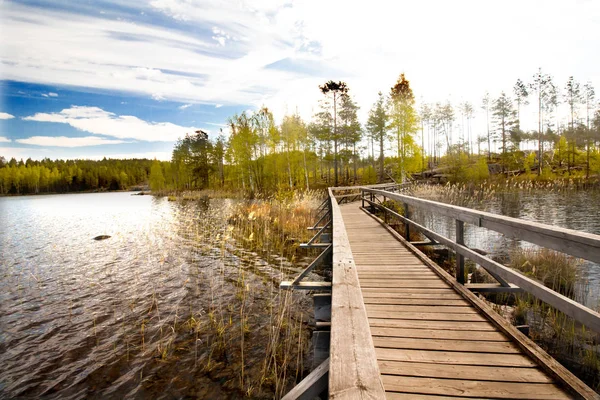 Ahşap iskele güzel Gölü Milli Parkı Repovesi, Finlandiya, Güney Karelya.