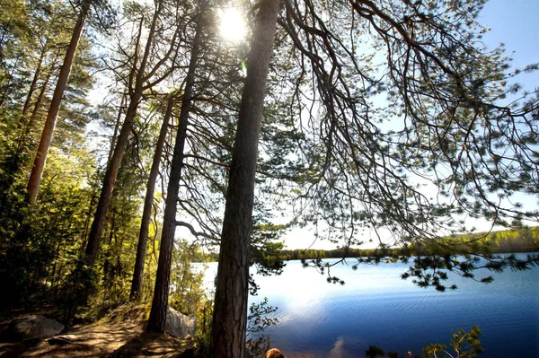 Hermoso lago en el parque nacional Repovesi, Finlandia, Karelia del Sur . —  Fotos de Stock