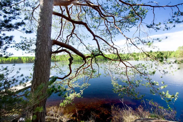 Lindo lago no parque nacional Repovesi, Finlândia, Carélia do Sul . — Fotografia de Stock