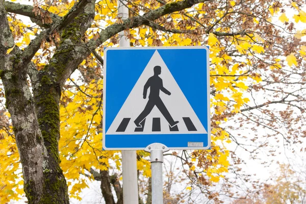 Пішохідний знак перетину ізольовано на фоні осіннього листя . — стокове фото