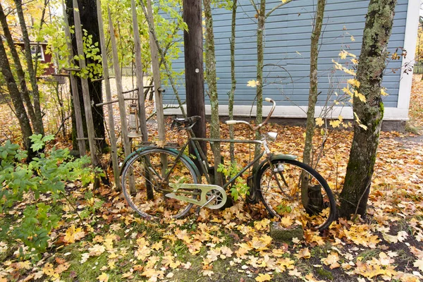 A földön egy régi kerékpár körüli lehullott levelek őszi jelenet. — Stock Fotó