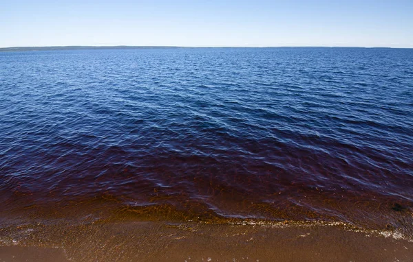 Pantai indah danau di musim panas . — Stok Foto