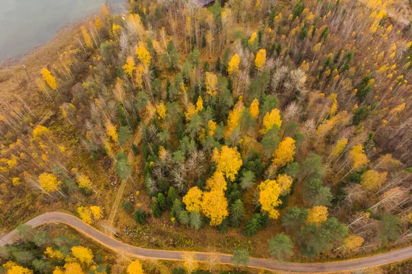 Vista aérea del lago y los coloridos bosques en un día de otoño en Finlandia. Fotografía de drones — Foto de Stock