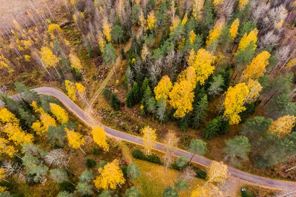 Vista aérea de la carretera y bosques coloridos en un día de otoño en Finlandia. Fotografía de drones — Foto de Stock
