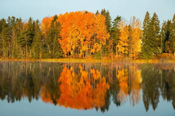 Красивый осенний пейзаж вод реки Кюмийоки. Финляндия, Kymenlaakso, Kouvola — стоковое фото