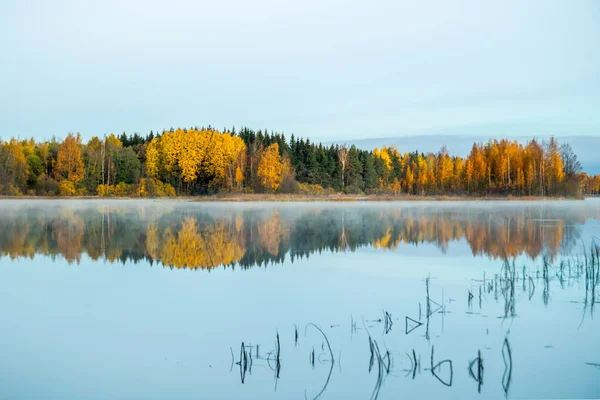 Красивый осенний пейзаж вод реки Кюмийоки в тумане. Финляндия, Kymenlaakso, Kouvola — стоковое фото