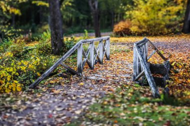 Finlandiya 'daki sisli sonbahar parkında eski ahşap köprü