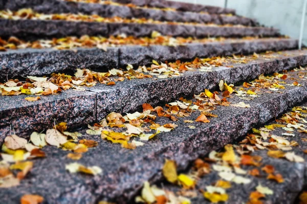 Granit merdivenlerdeki sarı yapraklar - seçici odaklı ve bulanık sonbahar manzarası — Stok fotoğraf