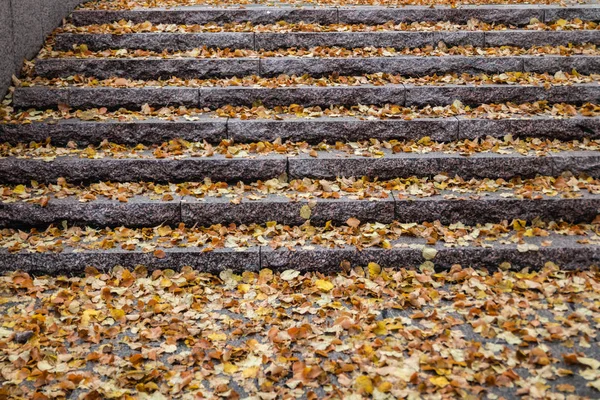 Gelbe Blätter auf Granittreppen - Herbstlandschaft mit selektivem Fokus und Unschärfe — Stockfoto