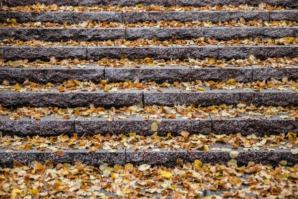 Gelbe Blätter auf Granittreppen - Herbstlandschaft mit selektivem Fokus und Unschärfe — Stockfoto