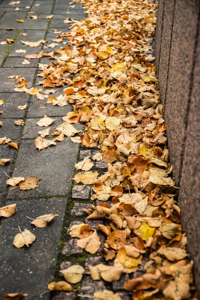 Gelbe Blätter auf dem Bürgersteig - Herbstlandschaft mit selektivem Fokus und Unschärfe — Stockfoto