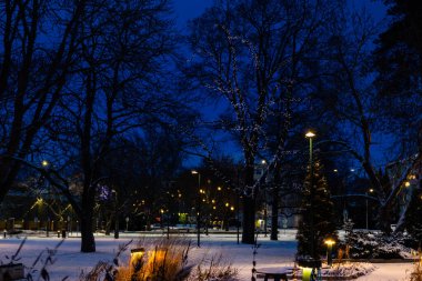 Kouvola 'nın merkez parkında akşam ışığı ile süslenmiş Noel süslemeleri..