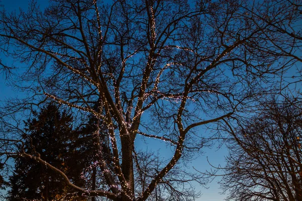 Decorazioni natalizie nel parco centrale di Kouvola con illuminazione serale . — Foto Stock