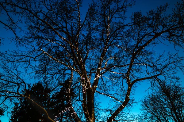 Kouvola 'nın merkez parkında akşam ışığı ile süslenmiş Noel süslemeleri.. — Stok fotoğraf