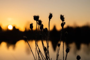Kışın Kymijoki nehrinde güzel bir günbatımı, Finlandiya.