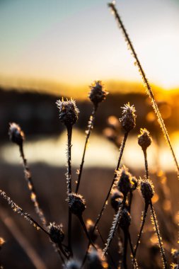 Kışın Kymijoki nehrinde güzel bir günbatımı, Finlandiya.