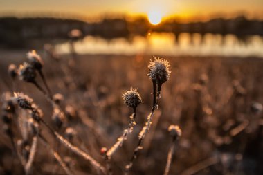 Kışın Kymijoki nehrinde güzel bir günbatımı, Finlandiya.