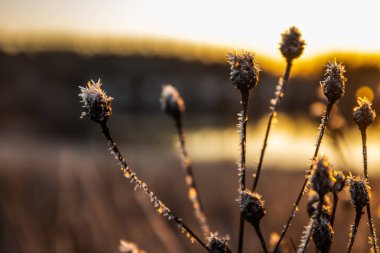 Kışın Kymijoki nehrinde güzel bir günbatımı, Finlandiya.