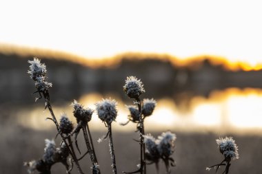 Kışın Kymijoki nehrinde güzel bir günbatımı, Finlandiya.