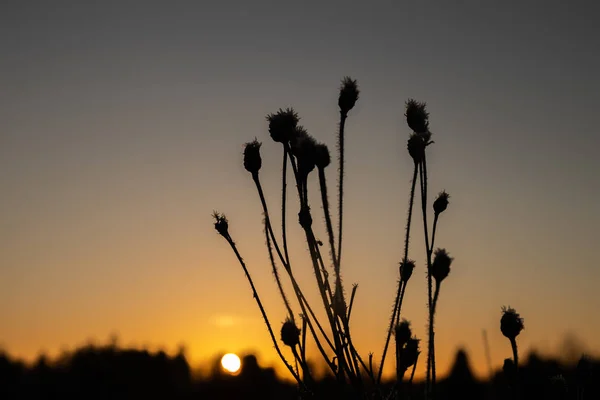 Wunderschöner Sonnenuntergang auf dem Kymijoki-Fluss im Winter, Finnland. — Stockfoto