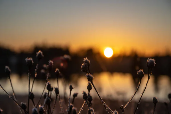 Vacker solnedgång vid Kymijoki älv på vintern, Finland. — Stockfoto