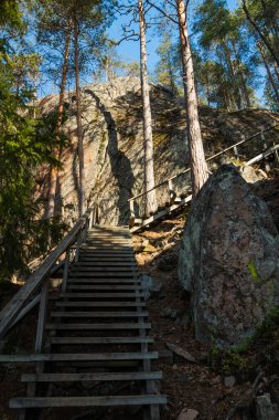 Wooden stairs to the peak of the rock in the national park Repovesi, Finland clipart