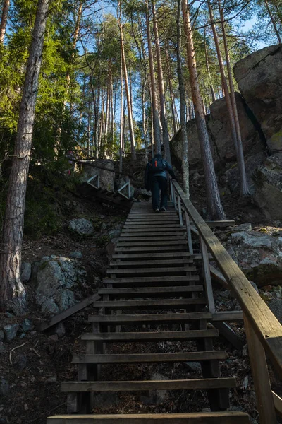 Escaleras Madera Pico Roca Parque Nacional Repovesi Finlandia — Foto de Stock