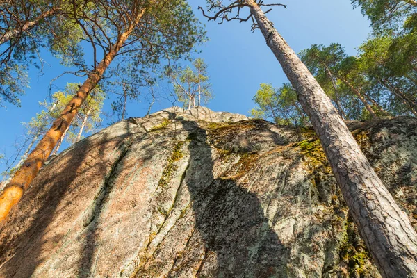 Roca Alta Pinos Parque Nacional Repovesi Finlandia — Foto de Stock