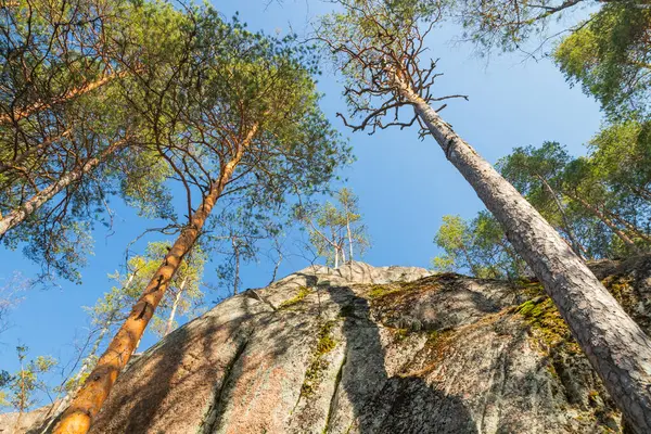 Roca Alta Pinos Parque Nacional Repovesi Finlandia — Foto de Stock