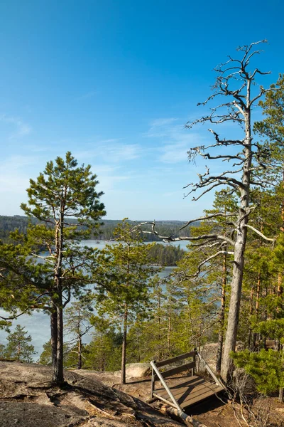 Bela Paisagem Com Lago Gelado Parque Nacional Repovesi Finlândia — Fotografia de Stock