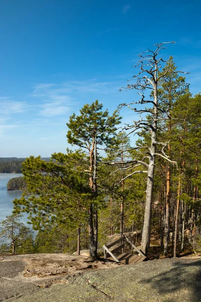 Bela Paisagem Com Lago Gelado Parque Nacional Repovesi Finlândia — Fotografia de Stock