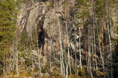 Finlandiya 'nın başkenti Repovesi' de mağarası ve ağaçları olan yüksek kayalar.