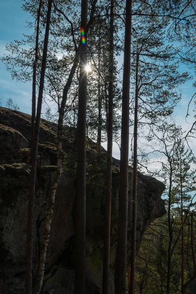 Siluetas Roca Pino Parque Nacional Repovesi Finlandia — Foto de Stock