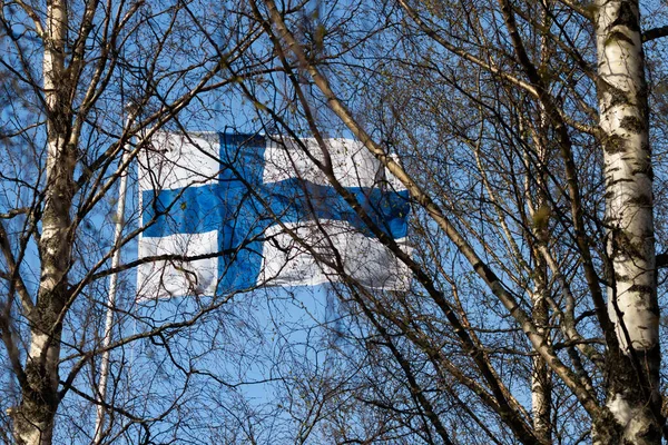 Bandiera Nazionale Finlandese Sul Vento Dietro Betulla Contro Cielo Blu — Foto Stock