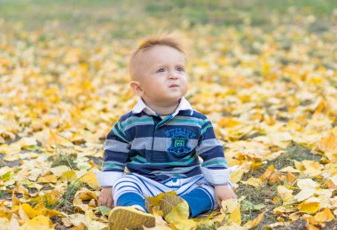 Küçük parkta sarı yapraklar ile oynarken oğlu gülümseyerek. Sonbahar.