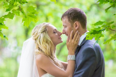 Düğün. Mutlu gelin ve damat Park