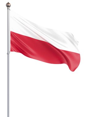 Polonya bayrağı rüzgarda esiyor. Arka plan dokusu. 3d render; Dalga. Beyaz üzerine izole edilmiş. Illüstrasyon.