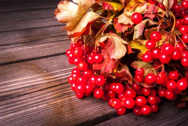 Ahşap masa üzerinde Viburnum