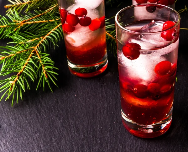 Uppfriskande drink med vodka med is och tranbär — Stockfoto