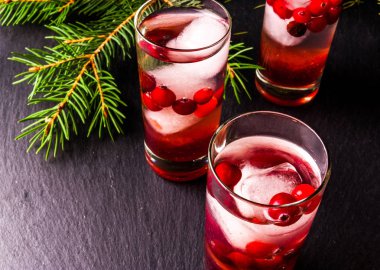 Buz ve kızılcık votka kokteyl serinletici