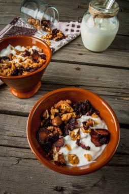 Kurutulmuş meyve ve fındık, organik yoğurt j ile ev yapımı granola
